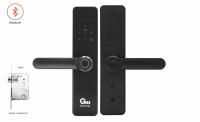 ЭЛЕКТРОННЫЙ ЗАМОК БЕЗ ОТПЕЧАТКА ПАЛЬЦА Gimmel F09 S TTLock DM50 ЧЕКРНЫЙ