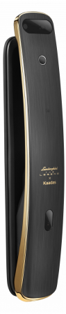 БИОМЕТРИЧЕСКИЙ ЭЛЕКТРОННЫЙ ЗАМОК С РАСПОЗНАВАНИЕМ ЛИЦА KAADAS K13F (GOLD)